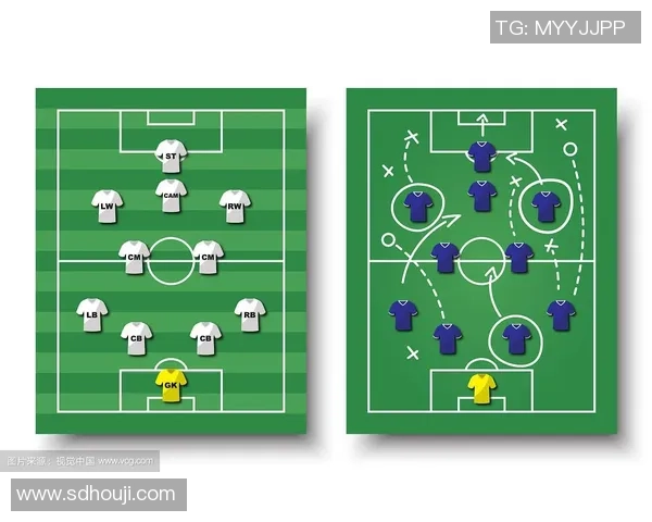 北京排球队在杯赛中的速度优势与战术解析