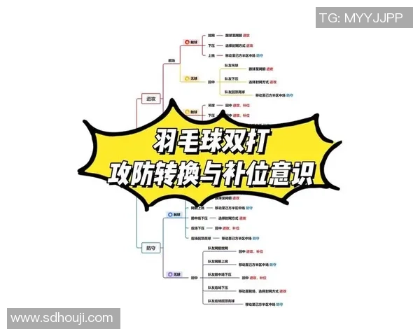 南京羽毛球队防守战术揭秘深度解析羽毛球比赛中的防守技巧与策略
