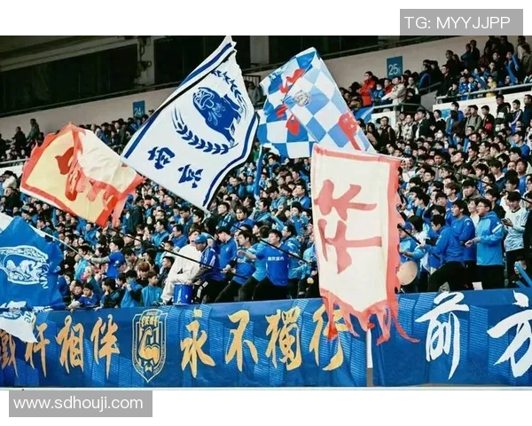 南京足球队精英赛表现分析团队协作的力量与未来发展潜力