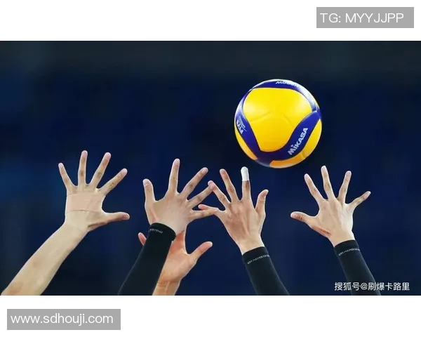 深圳排球队团队协作的独特优势与其他球队的深度对比分析