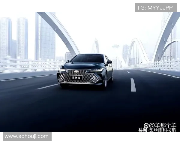 深圳网球队在洲际杯积分榜上以97分稳居第一名展现强劲实力 深圳网球队在洲际杯积分榜上以97分稳居第一名展现强劲实力