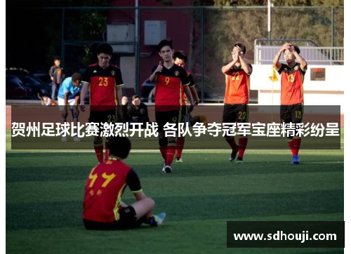 贺州足球比赛激烈开战 各队争夺冠军宝座精彩纷呈