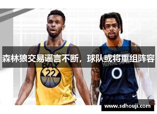 森林狼交易谣言不断，球队或将重组阵容
