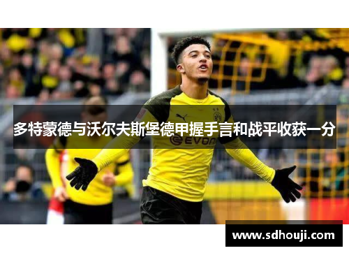 多特蒙德与沃尔夫斯堡德甲握手言和战平收获一分