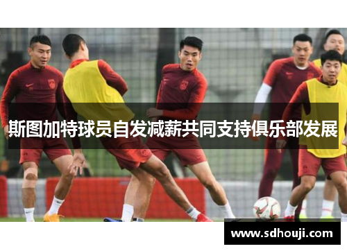 斯图加特球员自发减薪共同支持俱乐部发展