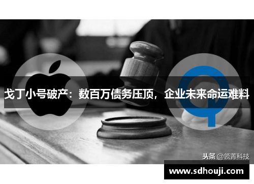 戈丁小号破产：数百万债务压顶，企业未来命运难料