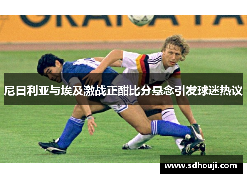 尼日利亚与埃及激战正酣比分悬念引发球迷热议