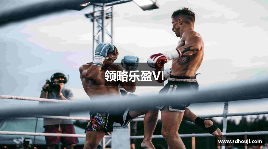 领略乐盈VI